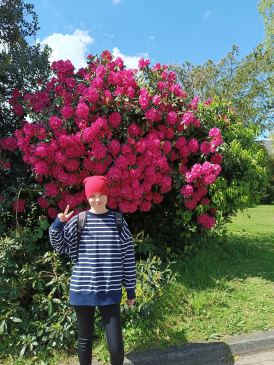 Make a Wish: laat Vira haar droom uitkomen